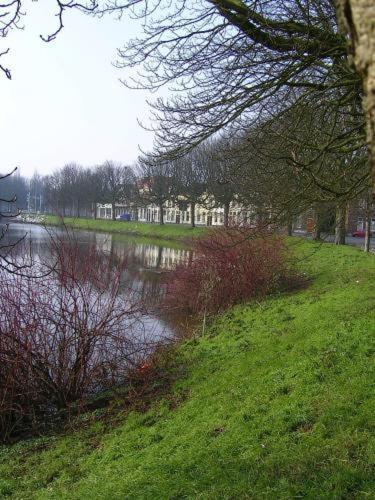 B&B Aan De Singelgracht Breda Eksteriør billede